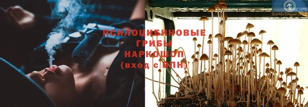 COCAINE Михайлов